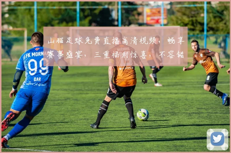 山猫足球免费直播高清视频，畅享赛事盛宴，三重福利惊喜，不容错过
