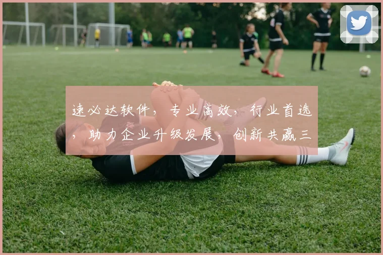 速必达软件，专业高效，行业首选，助力企业升级发展，创新共赢三步走